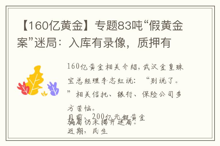 【160亿黄金】专题83吨“假黄金案”迷局：入库有录像，质押有检测，谁在造假？
