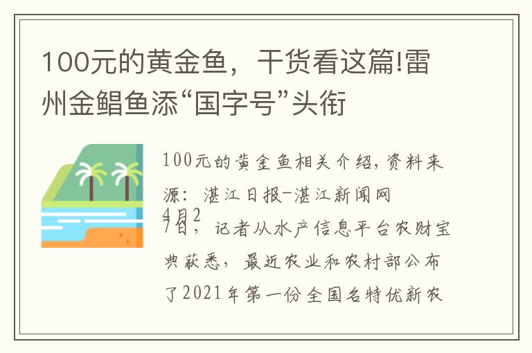 100元的黄金鱼，干货看这篇!雷州金鲳鱼添“国字号”头衔