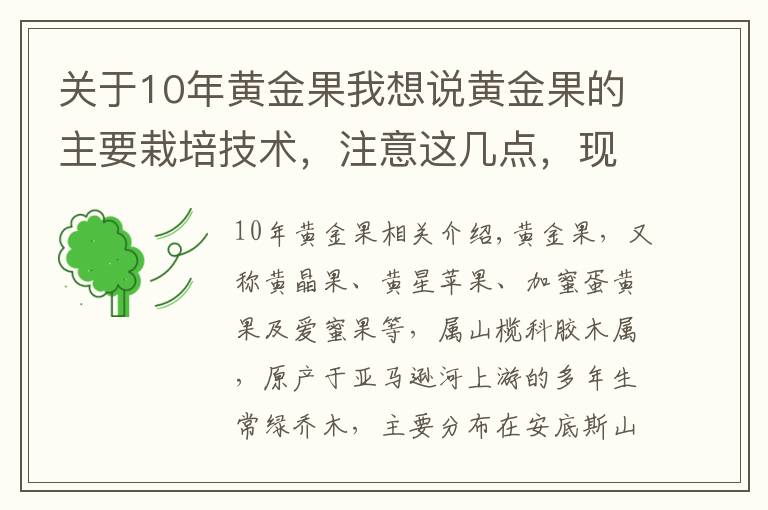 关于10年黄金果我想说黄金果的主要栽培技术，注意这几点，现在知道还不晚