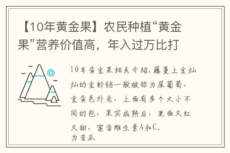 【10年黄金果】农民种植“黄金果”营养价值高，年入过万比打工强！