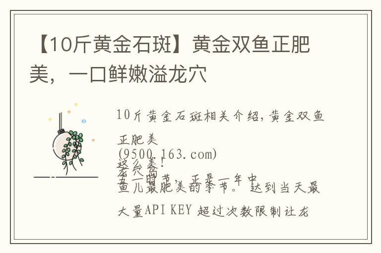 【10斤黄金石斑】黄金双鱼正肥美，一口鲜嫩溢龙穴