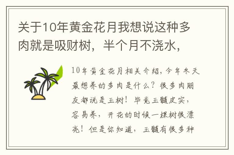 关于10年黄金花月我想说这种多肉就是吸财树，半个月不浇水，照样长得手腕粗！