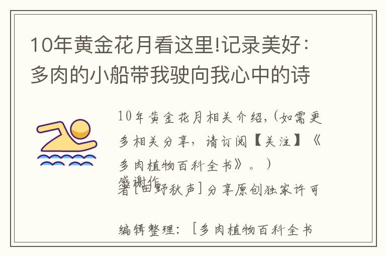10年黄金花月看这里!记录美好：多肉的小船带我驶向我心中的诗和远方