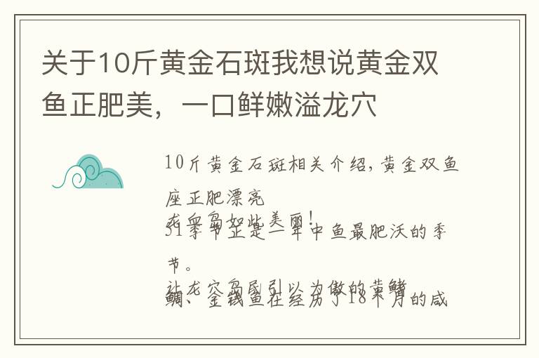 关于10斤黄金石斑我想说黄金双鱼正肥美，一口鲜嫩溢龙穴