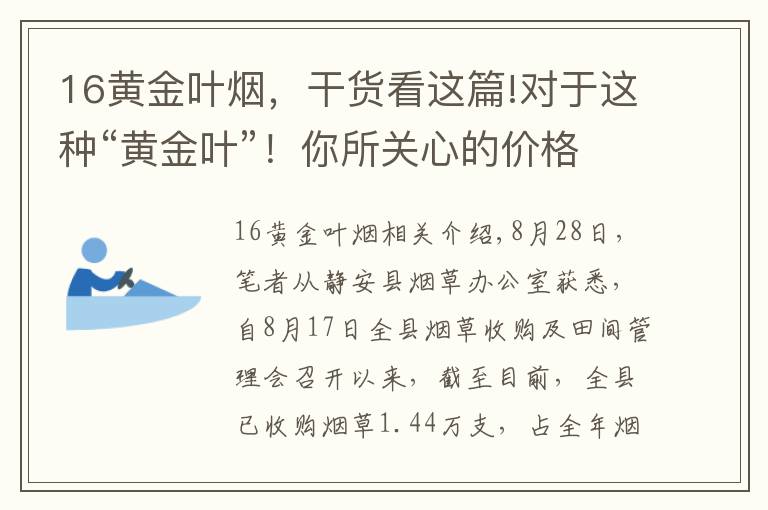 16黄金叶烟，干货看这篇!对于这种“黄金叶”！你所关心的价格在这里……