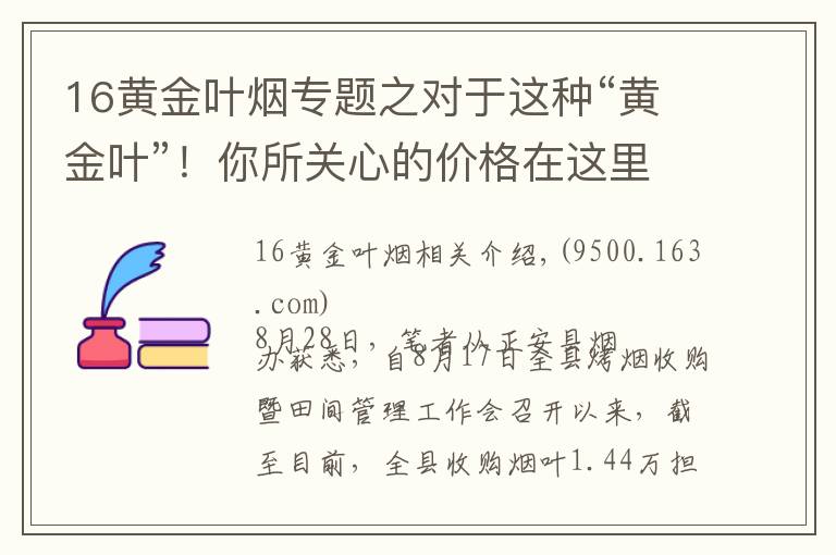 16黄金叶烟专题之对于这种“黄金叶”！你所关心的价格在这里……