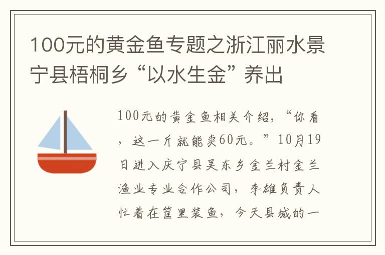 100元的黄金鱼专题之浙江丽水景宁县梧桐乡 “以水生金” 养出“黄金鱼”