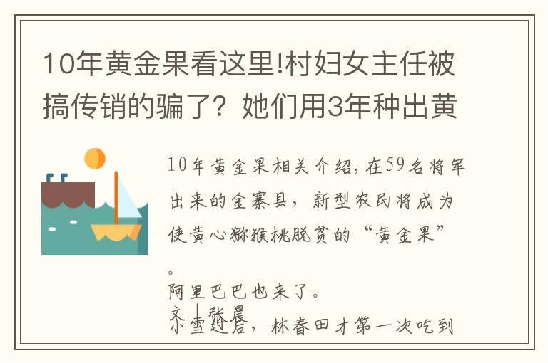 10年黄金果看这里!村妇女主任被搞传销的骗了？她们用3年种出黄金果 把阿里都引来了