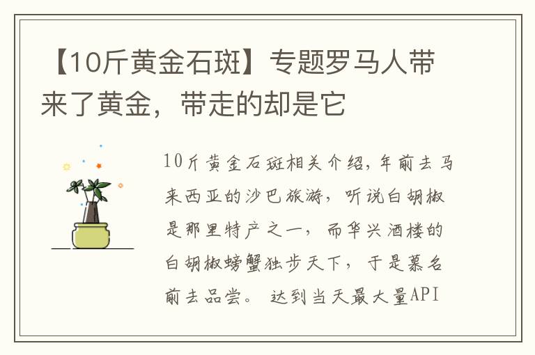【10斤黄金石斑】专题罗马人带来了黄金，带走的却是它