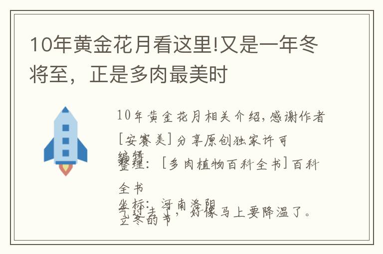 10年黄金花月看这里!又是一年冬将至，正是多肉最美时