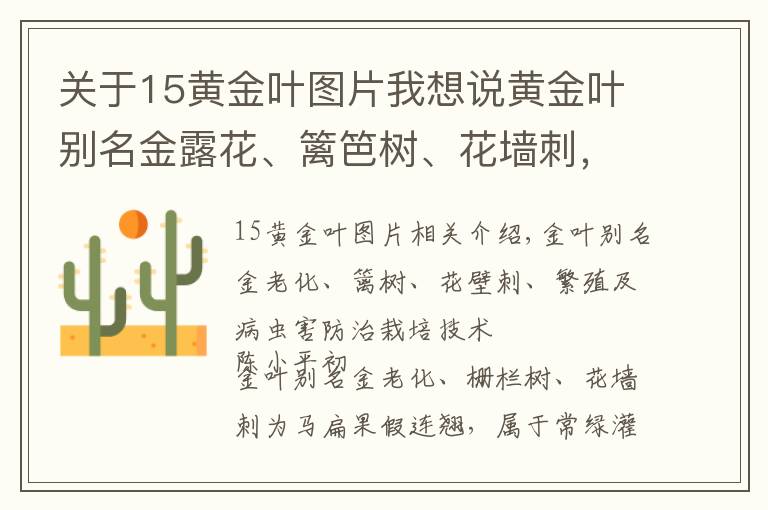 关于15黄金叶图片我想说黄金叶别名金露花、篱笆树、花墙刺，繁殖及病虫害防治栽培技术