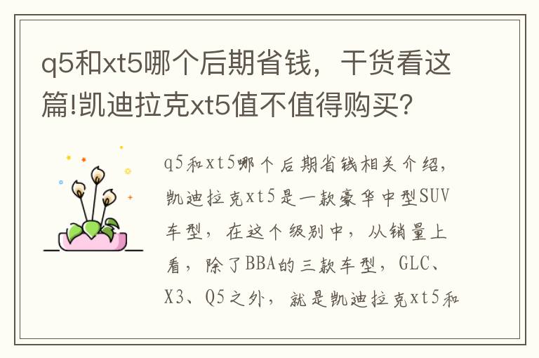 q5和xt5哪个后期省钱，干货看这篇!凯迪拉克xt5值不值得购买？买的话哪个配置比较好？