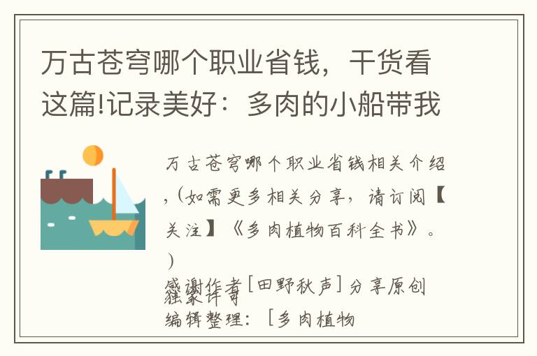 万古苍穹哪个职业省钱，干货看这篇!记录美好：多肉的小船带我驶向我心中的诗和远方