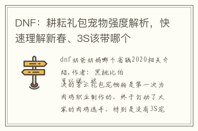 DNF：耕耘礼包宠物强度解析，快速理解新春、3S该带哪个