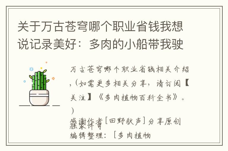 关于万古苍穹哪个职业省钱我想说记录美好：多肉的小船带我驶向我心中的诗和远方