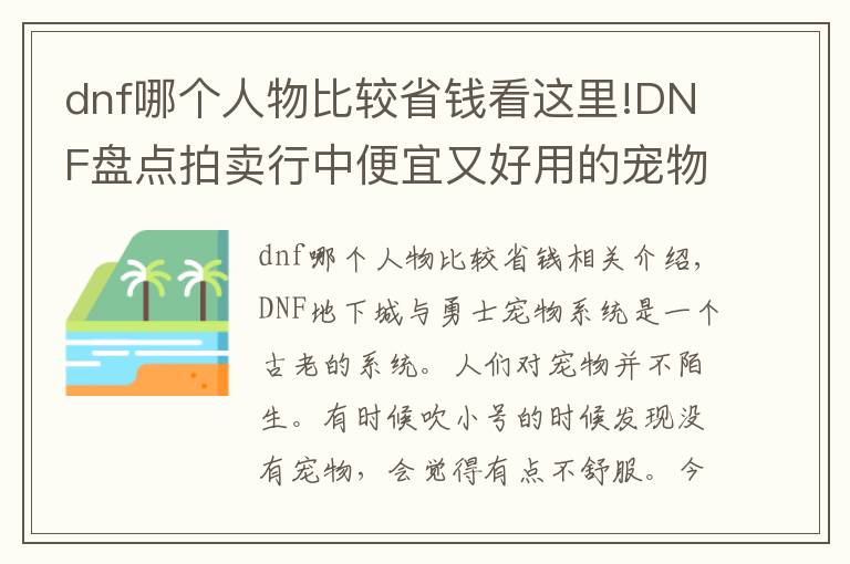 dnf哪个人物比较省钱看这里!DNF盘点拍卖行中便宜又好用的宠物！