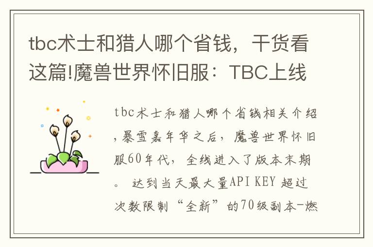 tbc术士和猎人哪个省钱，干货看这篇!魔兽世界怀旧服：TBC上线以后，首发猎人的玩家，会不会后悔？