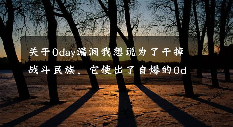 关于0day漏洞我想说为了干掉战斗民族，它使出了自爆的0day漏洞