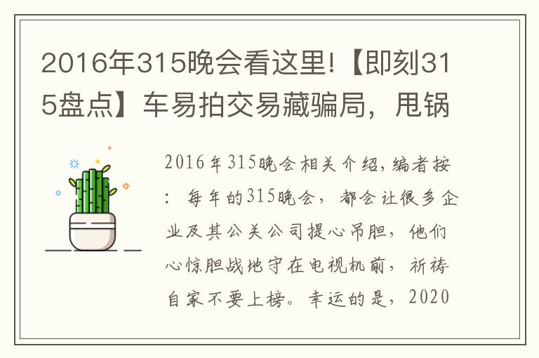 2016年315晚会看这里!【即刻315盘点】车易拍交易藏骗局，甩锅不成被指责