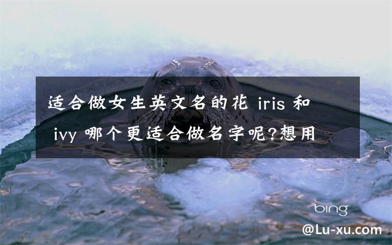 适合做女生英文名的花 iris 和 ivy 哪个更适合做名字呢?想用植物或花做人名..