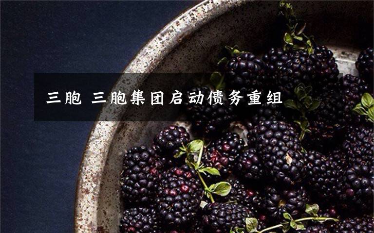 三胞 三胞集团启动债务重组