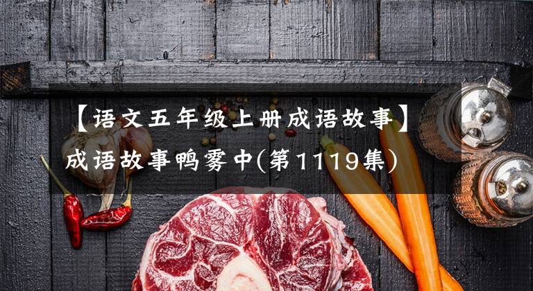【语文五年级上册成语故事】成语故事鸭雾中(第1119集)