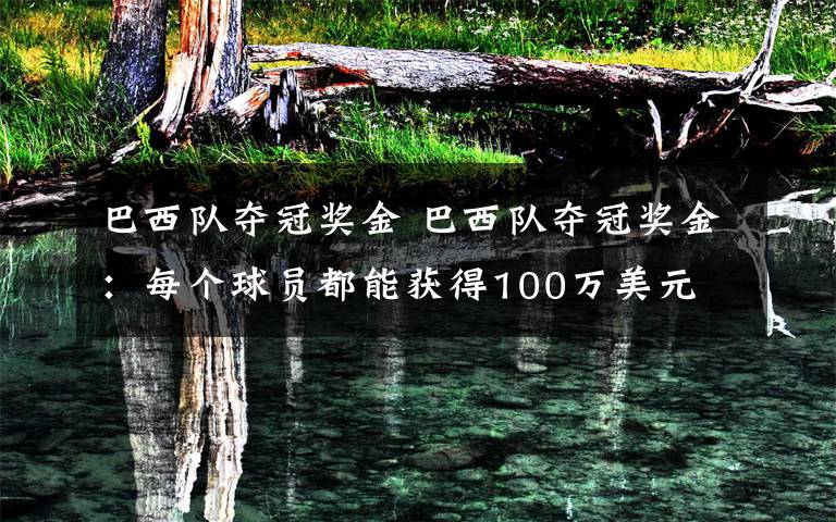 巴西队夺冠奖金 巴西队夺冠奖金：每个球员都能获得100万美元 卫冕冠军德国是这个数