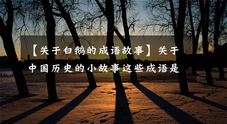 【关于白鹅的成语故事】关于中国历史的小故事这些成语是如何(2)千里送鹅毛的？