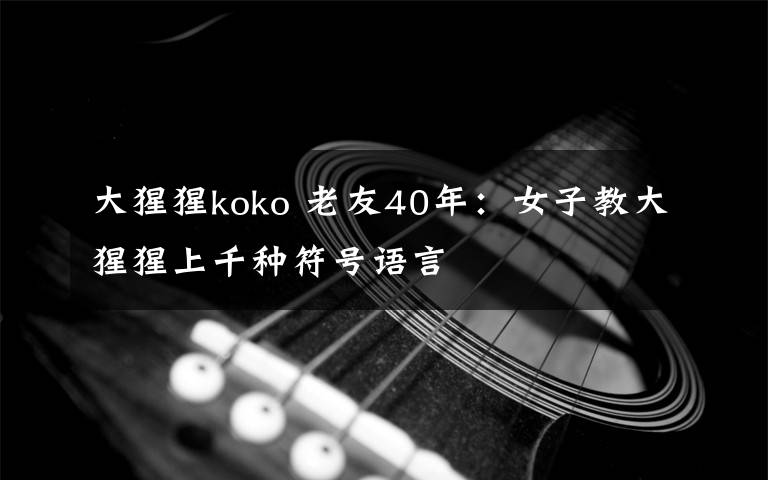 大猩猩koko 老友40年：女子教大猩猩上千种符号语言