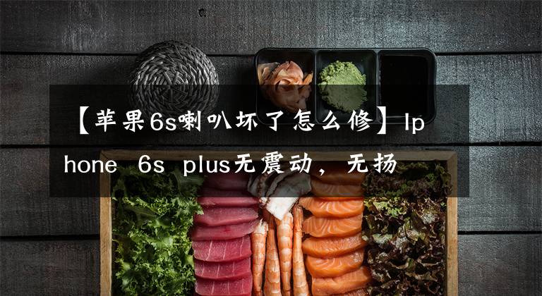 【苹果6s喇叭坏了怎么修】Iphone  6s  plus无震动，无扬声器声音