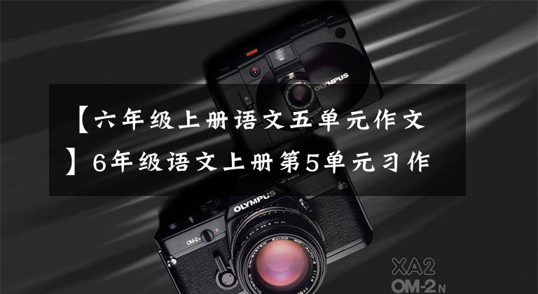 【六年级上册语文五单元作文】6年级语文上册第5单元习作：围绕中心意思写