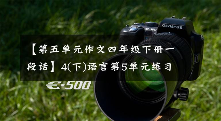 【第五单元作文四年级下册一段话】4(下)语言第5单元练习范文：游览_ _ _