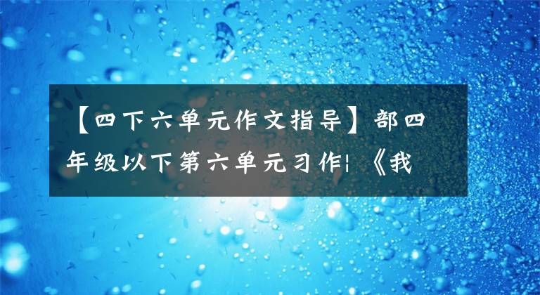 【四下六单元作文指导】部四年级以下第六单元习作| 《我学会了____》写作方法范文评论