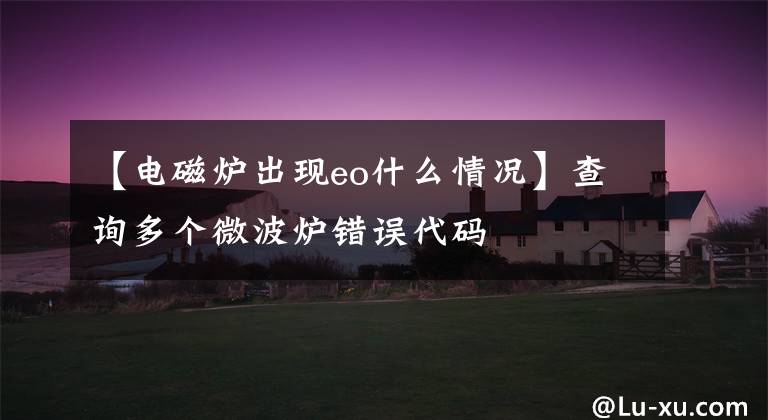 【电磁炉出现eo什么情况】查询多个微波炉错误代码