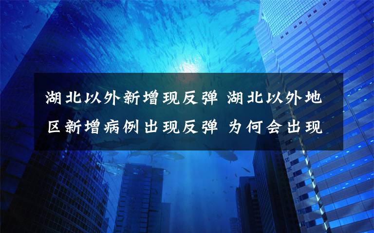 湖北以外新增现反弹 湖北以外地区新增病例出现反弹 为何会出现反弹情况？
