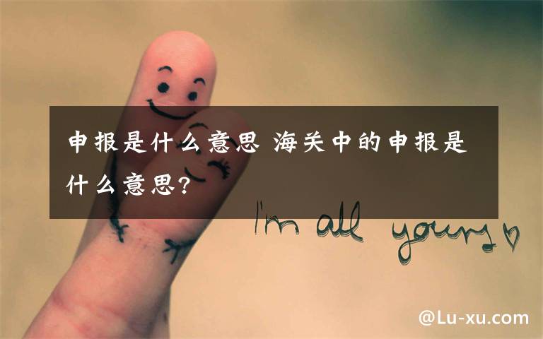 申报是什么意思 海关中的申报是什么意思?