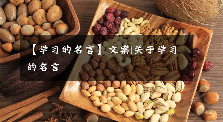 【学习的名言】文案|关于学习的名言