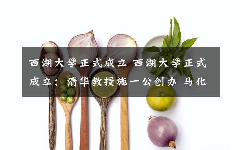 西湖大学正式成立 西湖大学正式成立：清华教授施一公创办 马化腾王健林等均捐款