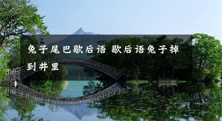 兔子尾巴歇后语 歇后语兔子掉到井里