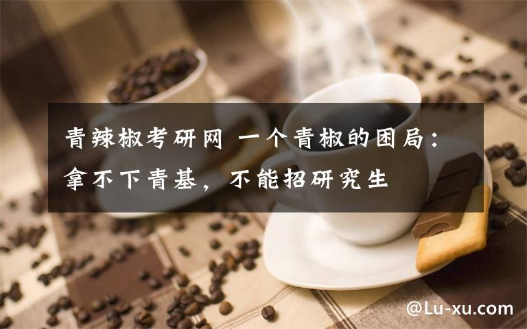 青辣椒考研网 一个青椒的困局：拿不下青基，不能招研究生