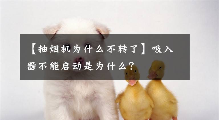 【抽烟机为什么不转了】吸入器不能启动是为什么？