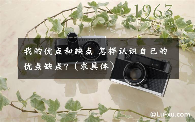 我的优点和缺点 怎样认识自己的优点缺点?（求具体）