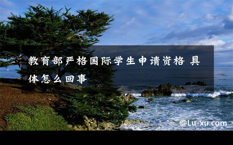 教育部严格国际学生申请资格 具体怎么回事