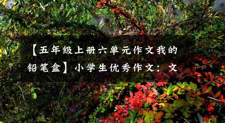 【五年级上册六单元作文我的铅笔盒】小学生优秀作文：文具盒