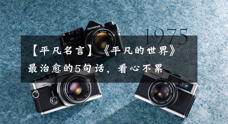【平凡名言】《平凡的世界》最治愈的5句话，看心不累