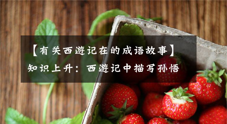 【有关西游记在的成语故事】知识上升：西游记中描写孙悟空的成语故事