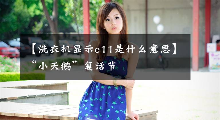 【洗衣机显示e11是什么意思】“小天鹅”复活节