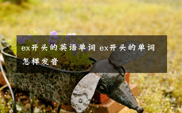 ex开头的英语单词 ex开头的单词怎样发音