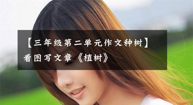 【三年级第二单元作文种树】看图写文章《植树》