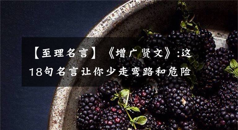【至理名言】《增广贤文》:这18句名言让你少走弯路和危险道路